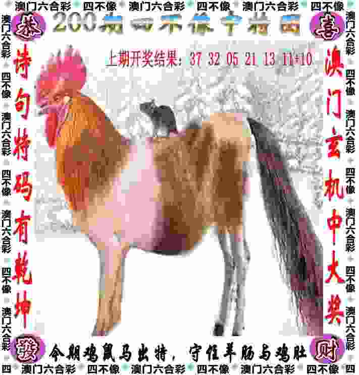 2025新澳历史记录查询结果下载正版-77777888888管家婆网ipad版下载 v9   .77   .147   -2278安卓网
